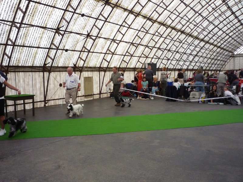 narodka boleslav 017.jpg